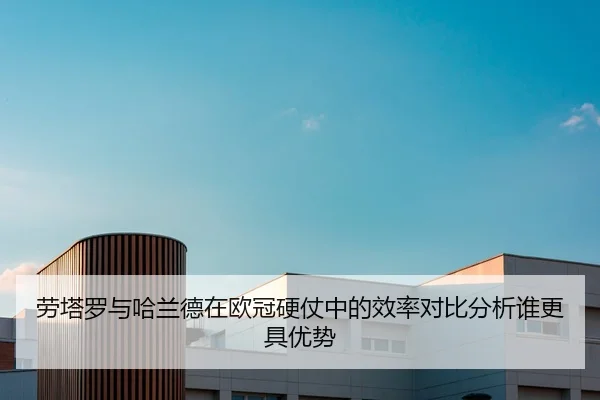 劳塔罗与哈兰德在欧冠硬仗中的效率对比分析谁更具优势