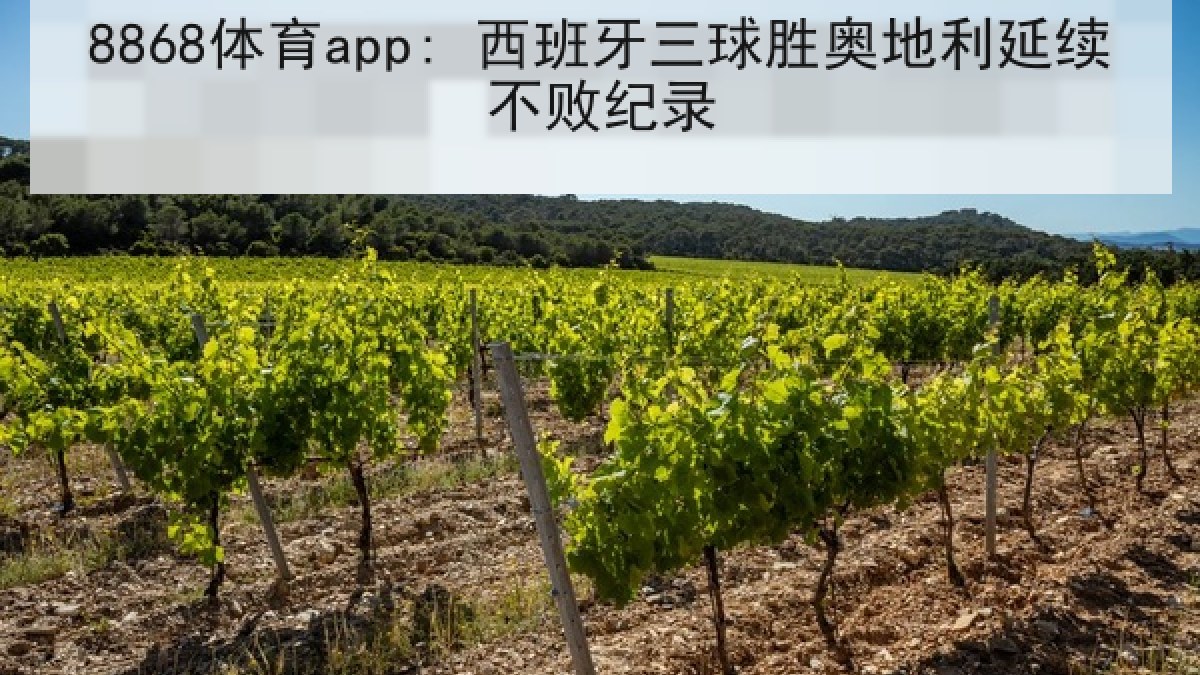 8868体育app: 西班牙三球胜奥地利延续不败纪录
