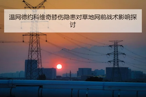 温网德约科维奇膝伤隐患对草地网前战术影响探讨